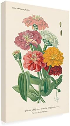 Търговска марка на Fine Art 'Antique Botanical XLI Light' Платно-арт от Wild Apple Portfolio 22x32