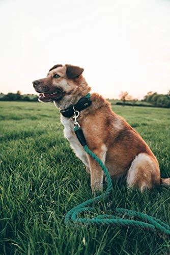 Въжето нашийник за кучета Embark Pets Country - Яка от плетеного памук и навита на кожата за по-големи кучета - Трайни яки за големи кучета и добро телосложение, за тренировки