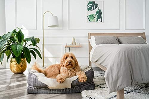 BarksBar Snuggly Sleeper Голяма ортопедично легло за кучета Grey Diamond със стабилна ортопедична пяна, мек хлопковым валяк и Ультрамягким плюшено спално място - 40 x 30 см