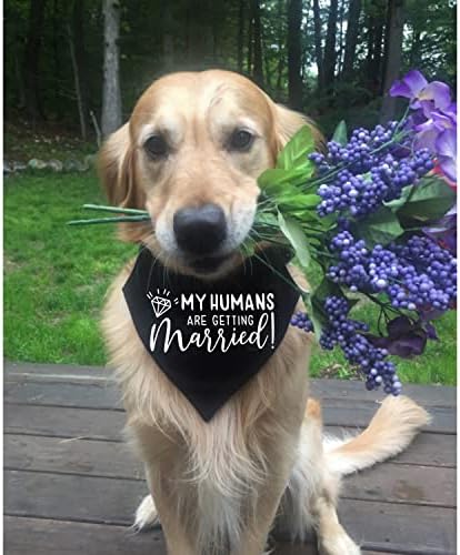 Подарък за участието, Нашийник-Кърпа за кучета Моите хора се женят, Подпори За Сватбената Фотосесия, Шал за домашни любимци, Обява