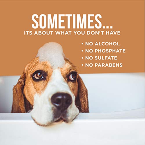Спрей-парфюм за кучета Natural Rapport с цветя и аромат на кокос - Единственото, което трябва кучета за къпане - Удобен спрей-дезодорант